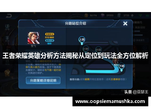 王者荣耀英雄分析方法揭秘从定位到玩法全方位解析